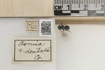 Media type: image;   Entomology 794976 Aspect: Labels